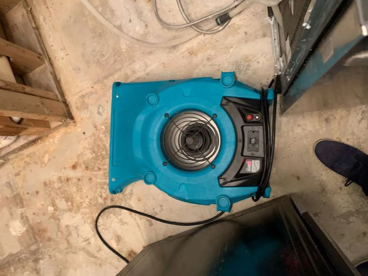 Air mover drying equipment for Mold Remediation & Removal in Thief River Falls