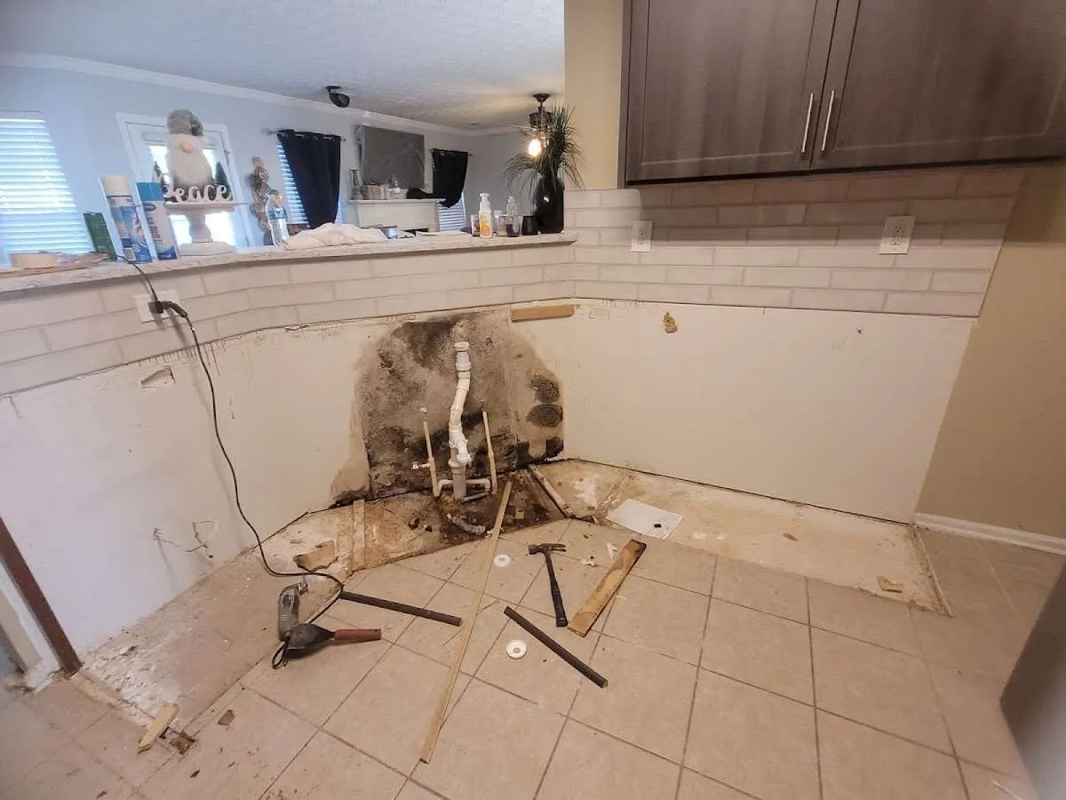 Mold behind wall with plumbing during Flood Damage Cleanup in Thief River Falls